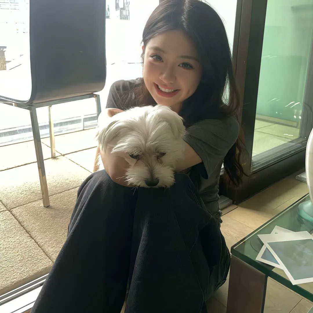 疯狂的麦咭第八季